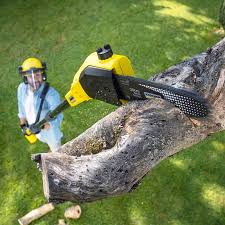 Best Lawn Grading and Leveling  in Palouse, WA