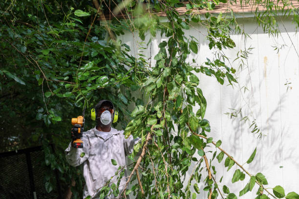 Best Tree and Shrub Care  in Palouse, WA